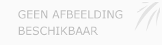 Afbeelding › Van Stenis Notarishuis